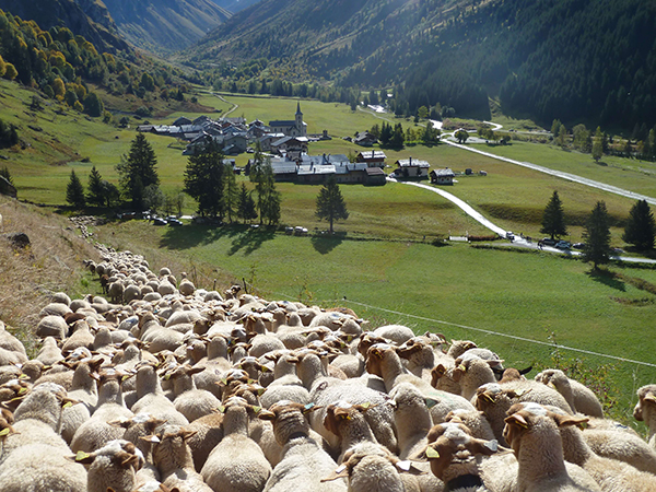 René Chambe - Champagny le Haut - Vanoise - leshautsdechampagny